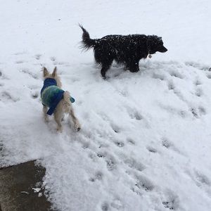 Meet your Posher, Joann